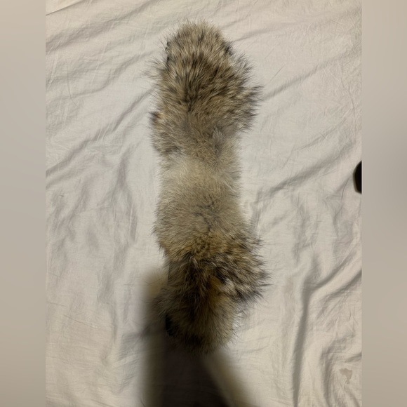 Black Canada Goose Lorette Parka with original coyote fur - Picture 10 of 14